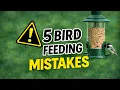 Top 5 Bird Feeding Mistakes And How to Fix Them