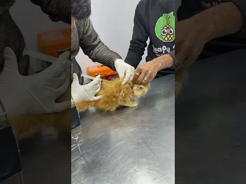 Part 13 🤍