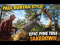 Paul Bunyan Style Taking Down Pine Trees with Stihl Farm Boss Excavator