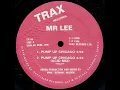 Lagu Mr  Lee   Pump Up Chicago Acid Mix