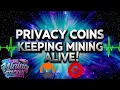 Lagu Privacy Coins ARE MOONING Keeping Crypto Mining Alive Monero XMR All Time High, QUAI up 6x , Why?!