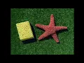 SpongeBob and Patrick Dried Up