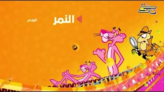 النمر الوردي بعد قليل 