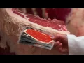 MSA Grading Beef - overview