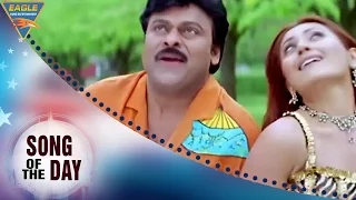 new hindi song of the day 100 ek aur himmathwala hindi dubbed movie eagle hindi movies
