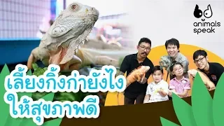 เลี้ยงกิ้งก่ายังไงให้สุขภาพดี | Animals Speak [by Mahidol Kids]