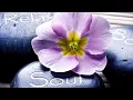TLC Mobile Massage And Spa Inc in Gurnee IL Massage Therapy
