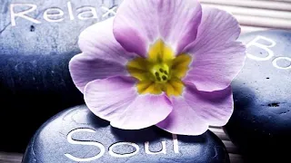 TLC Mobile Massage And Spa Inc in Gurnee IL Massage Therapy