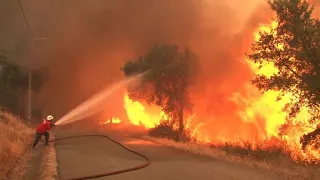 رجال الاطفاء ينجحون في السيطرة على حرائق الغابات في البرتغال دندنها