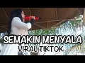 Lagu Semakin menyala full tanpa Iklan #dangdut #lagudangdut #semakinmenyala #viral #fyp 