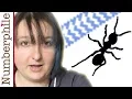 Langton s Ant - Numberphile