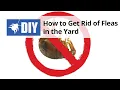 Download Lagu Outdoor Flea Treatment - How to Get Rid of Fleas in the Yard