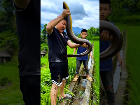 Grilled eel? #shorts #langlieu #funny  #mukbang #food