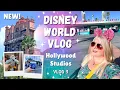 DISNEY WORLD SUMMER VLOGS 2026 Best day at Hollywood Studios The Boardwalk