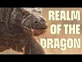 Download Lagu Savage Komodo Hunts \u0026 More | FULL DOCUMENTARY | Wild Indonesia | @UltimateNatureDocs