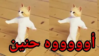 اغنية باسم حنين الحلوة سطلانة السعودية الكويت الامارات قطر عمان البحرين تركيا دبي ابوظبي جده 