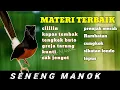 Download Lagu MASTERAN MURAI BATU,DENGAN MATERI TERBAIK ROLL TEMBAK,KASARAN DAN BESETAN TAJAM