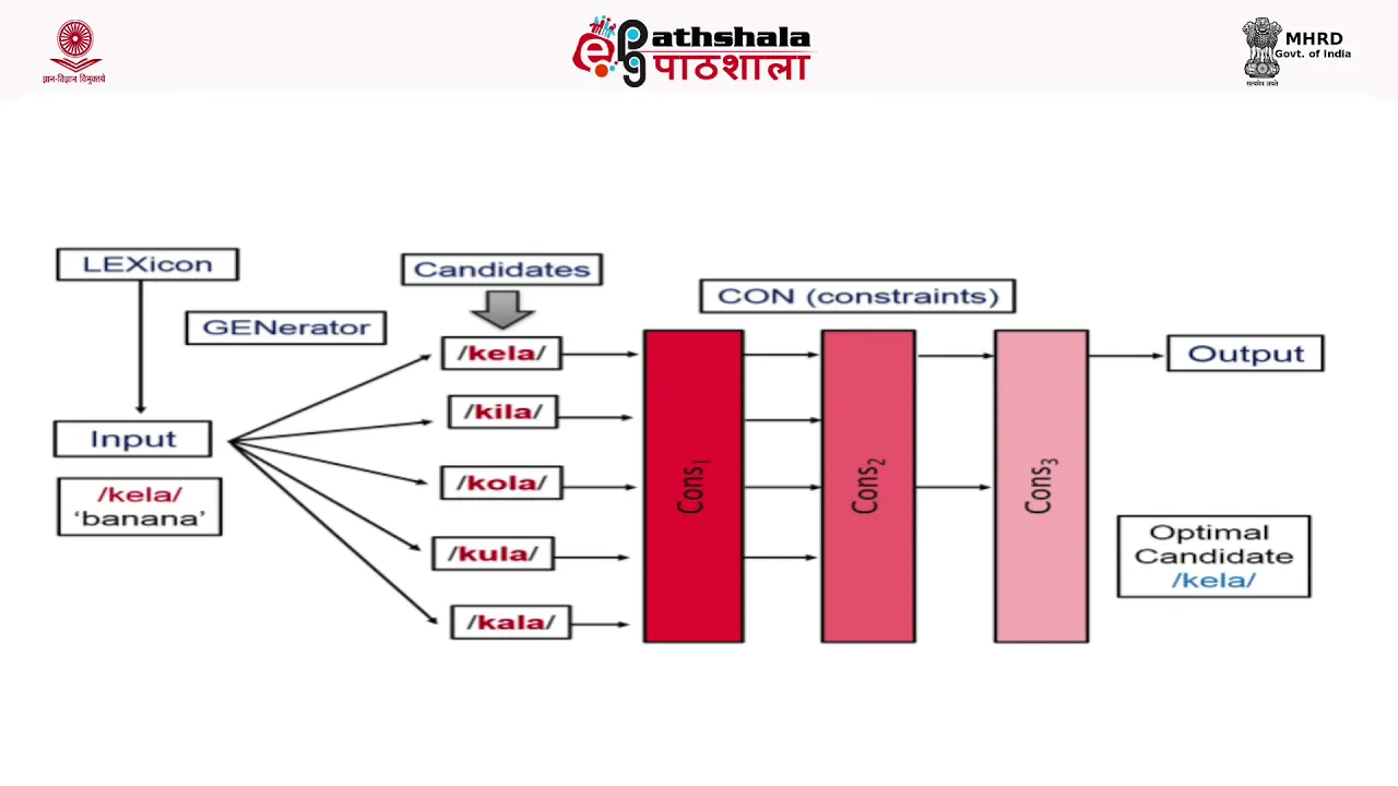 Optimality Theory in Linguistics: Key Concepts & Architecture Explained
