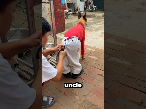 Uncle Almost Cut Off His Tail!😱✂️✨#shorts