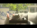 Love Ya ~ Diljit Dosanjh (sped up)