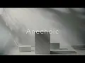 Anechoic — Bajune Tobeta (Private Press Stream)