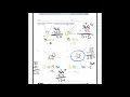 Module 4 Lesson 11 Homework Help