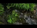 Purest Sounds of Water for INSTANT Sleep ❘ ASMR Water ❘ 10HRS