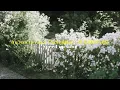 นักวิทยาศาสตร์ ( Scientist) - D GERRARD (speed up song)