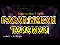 Download Lagu PAGAR MAKAN TANAMAN - Karaoke Nada Pria ll Mansyur.S ~ Nada Rendah