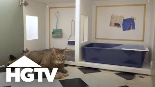 How to Hide a Cat Litter Box HGTV