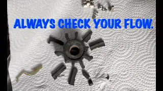 Replacing my marine diesel engine impeller after noticing poor raw water flow from my exhaust!