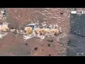 Water main break floods busy street near Uptown Charlotte