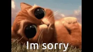 GIF-Im sorry