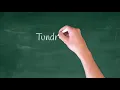 Tundra food Web Science Homework