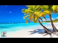 Download Lagu Breathtaking Tropical Beaches 🏝️🌞 Amazing Nature Scenery \u0026 The Best Relax Music