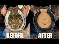 Download Lagu Satisfying Full Horse Hoof Restoration | 4K FARRIER ASMR