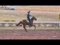 Ameth Robles Gets into full gear Caymanas Park Ezercise Track 26