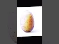 Download Lagu Patata pata patata #short