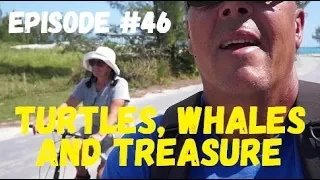 Turtles, Whales and Treasure, Wind over Water, Episode #46