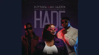 mr jazziq u0026 djy biza hade official audio feat dinky kunene mellow u0026 sleazy u0026 djy maten