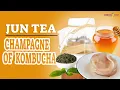JUN Tea The Champagne of Kombucha Kombucha Kamp - Hannah Crum