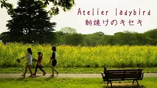 Download 朝焼けのキセキ - Atelier ladybird feat.すぎやま MP3