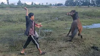 Sagol lam henbei ngaihak laknaba nida😡|| Sagol saore 🤣🤣