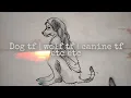 Dog tf Wolf tf canine tf etc etc