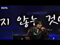 [4K] 251114 딧슈(DISH//) - 서향꽃(沈丁花, Chinchoge) 원더리벳 2025 내한