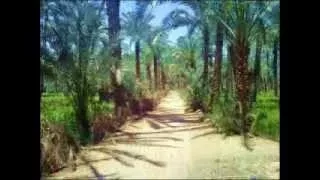 مصر التي في خاطري أم كلثوم نوعية صوت عالية 