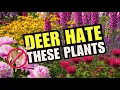My Garden is DEER-PROOF 9 Perennials They REFUSE to Eat You Need These