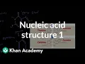 Nucleic acid structure 1 Chemical processes MCAT Khan Academy