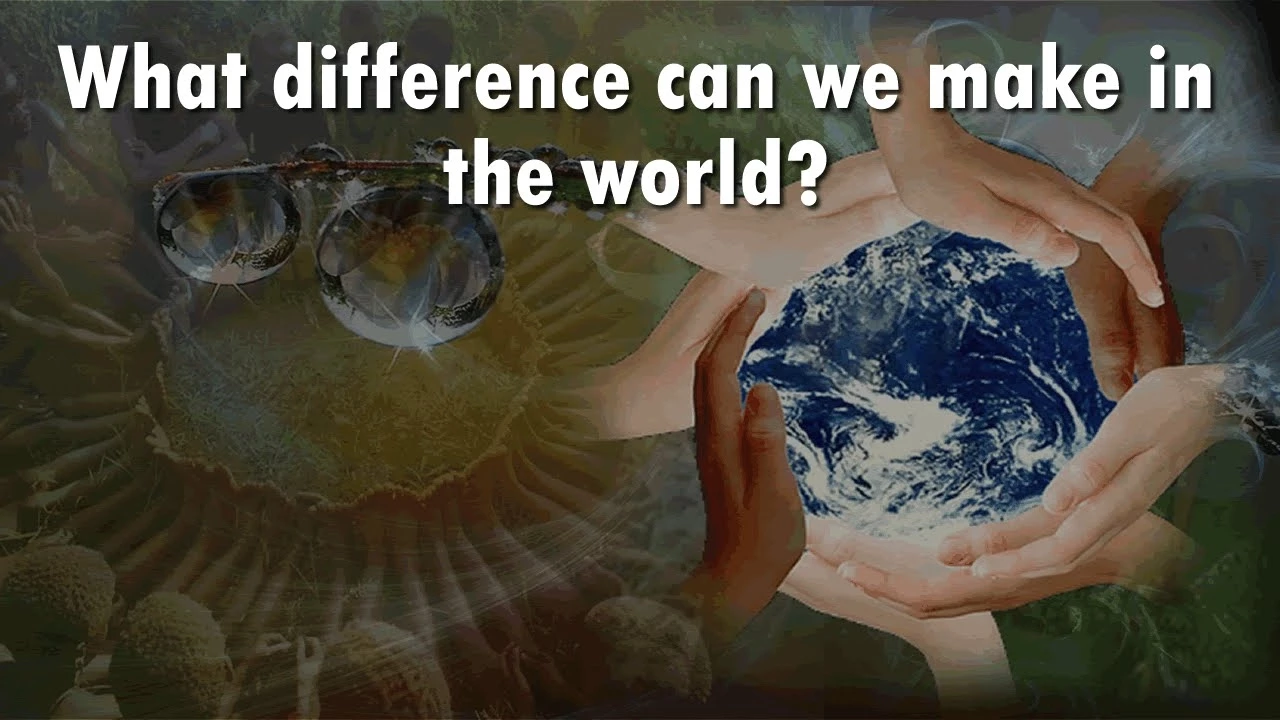 What difference can we make in the world?