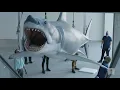 Video di Academy Museum Highlight Bruce the Shark
